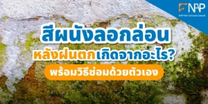 ผนังบ้านสีลอกล่อนหลังฤดูฝน สัญญาณความชื้นสะสม
